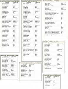 DMSCHEMA tables