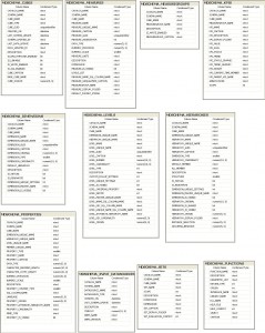 MDSCHEMA tables