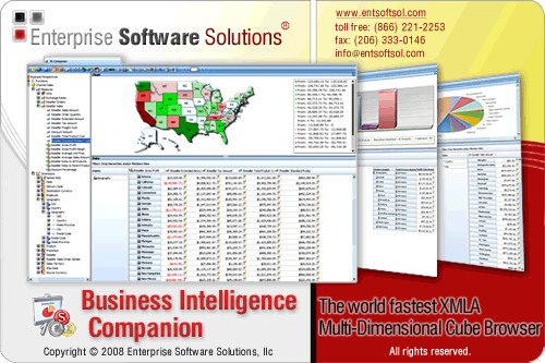 Enterprise Software Solutions Companion BI