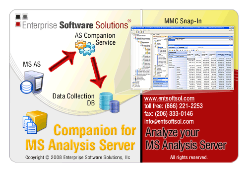 Companion for MS Analysis Services